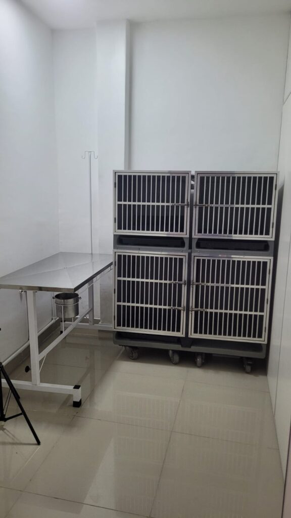 Imagem do WhatsApp de 2024-09-23 à(s) 13.59.23_a8b28013