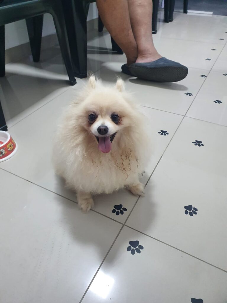 Imagem do WhatsApp de 2024-09-23 à(s) 14.27.12_1ef3ce8e