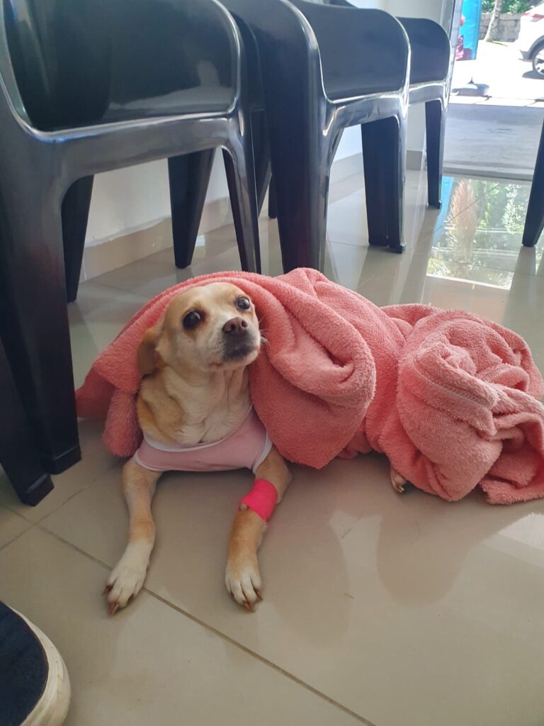 Imagem do WhatsApp de 2024-09-23 à(s) 14.27.40_b2cfb2be