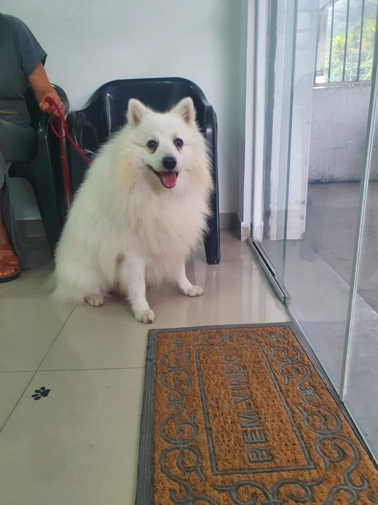 Imagem do WhatsApp de 2024-09-23 à(s) 14.28.58_c77d2c26