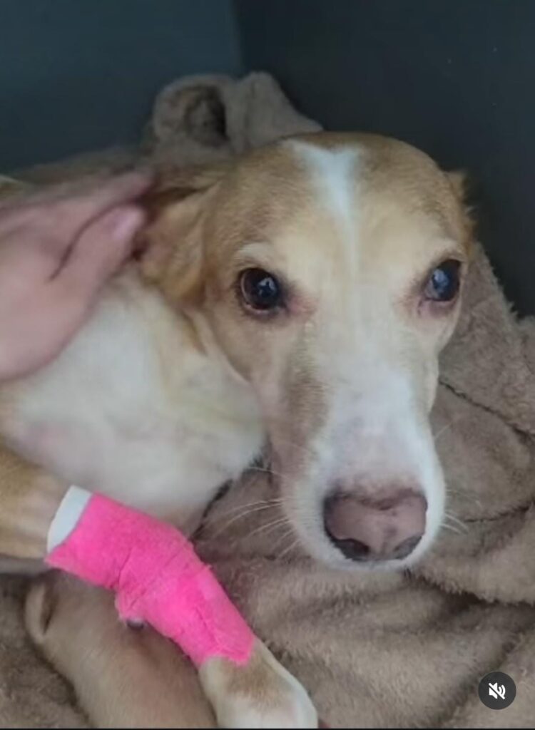 Imagem do WhatsApp de 2024-09-23 à(s) 14.29.30_22f1d2ea